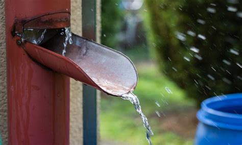 Jak najlepiej skutecznie wykorzystywać deszczową wodę? Zapoznaj się ze szczegółowymi informacjami i bądź eko